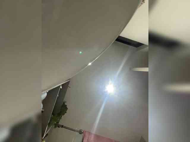 SallyeLeins SallyeLeins