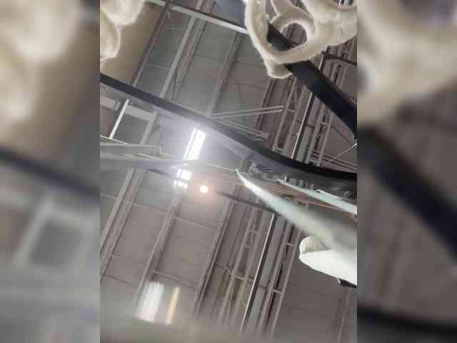 SallyeLeins webcam