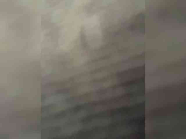 SallyeLeins SallyeLeins