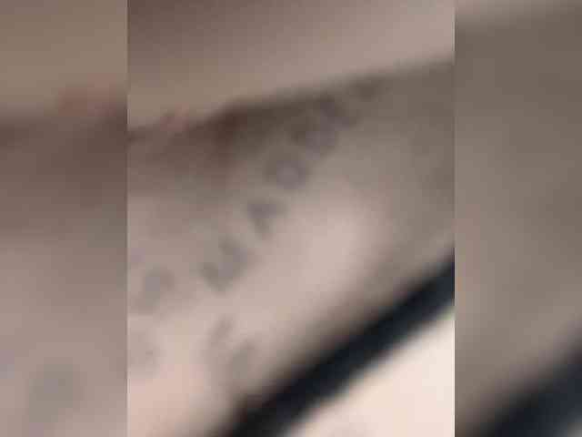 SallyeLeins SallyeLeins