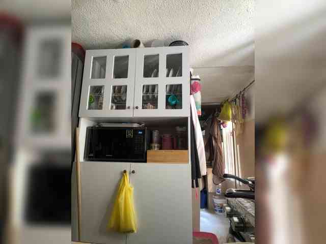 SallyeLeins SallyeLeins