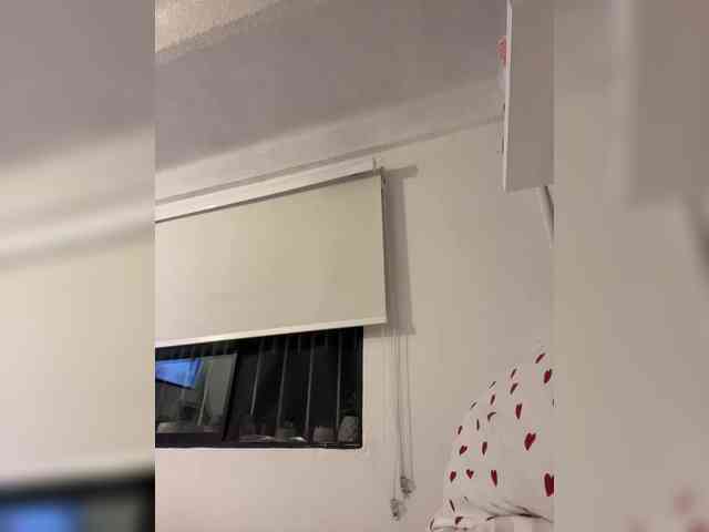 SallyeLeins SallyeLeins