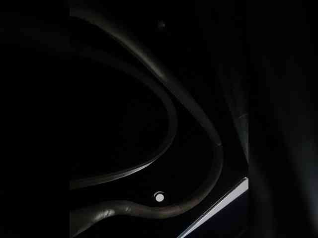 SallyeLeins webcam