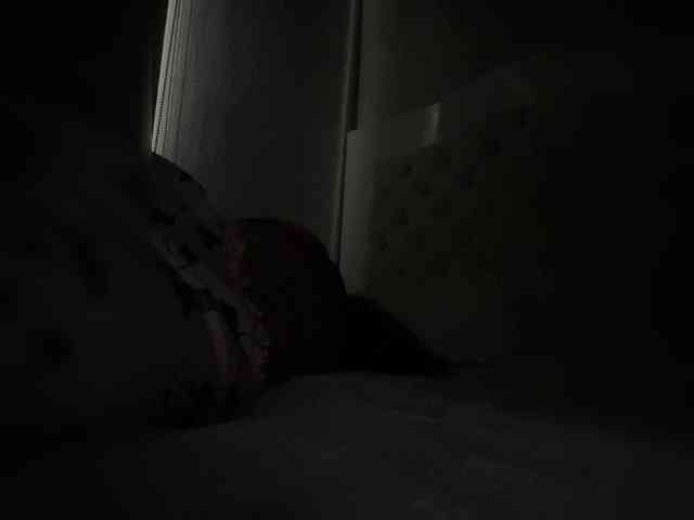 SallyeLeins SallyeLeins