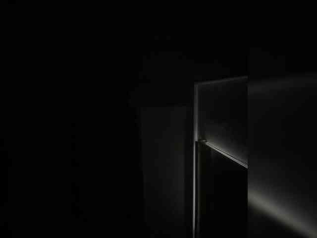 SallyeLeins SallyeLeins