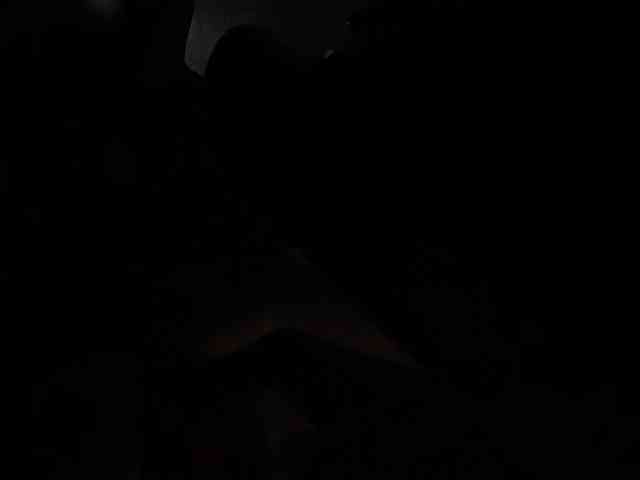 SallyeLeins SallyeLeins