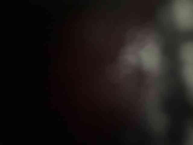 SallyeLeins SallyeLeins