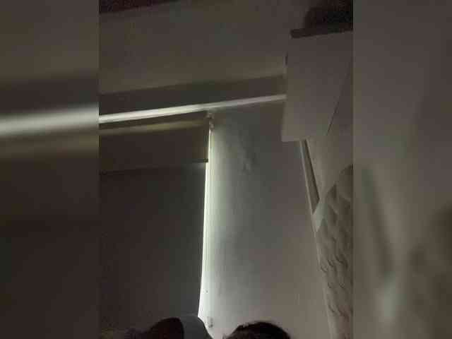 SallyeLeins SallyeLeins