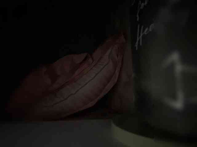 SallyeLeins webcam