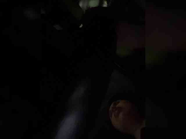SallyeLeins webcam