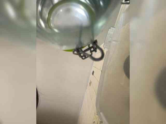 SallyeLeins SallyeLeins