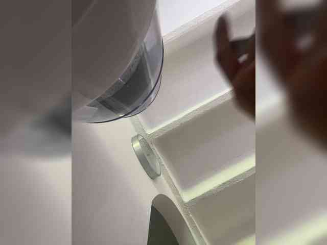 SallyeLeins SallyeLeins