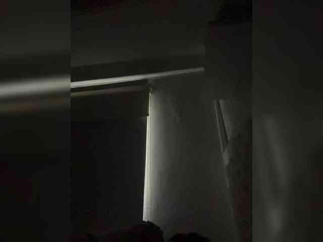 SallyeLeins SallyeLeins