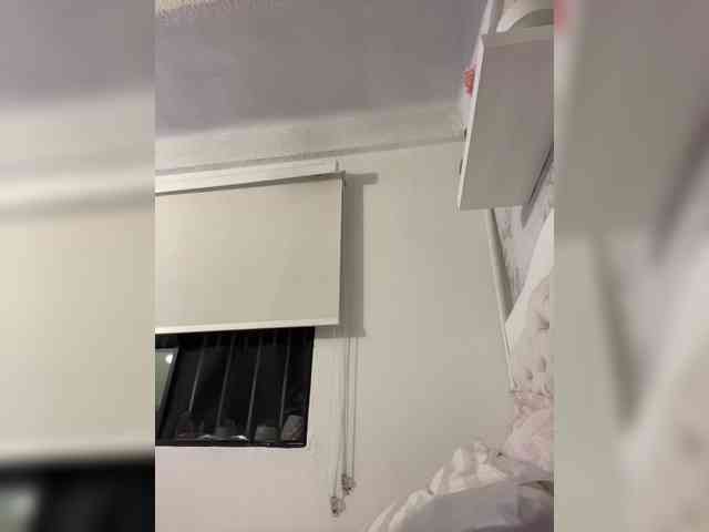 SallyeLeins SallyeLeins