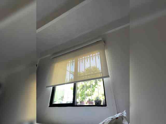 SallyeLeins SallyeLeins