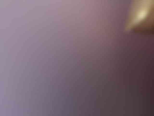 SallyeLeins SallyeLeins