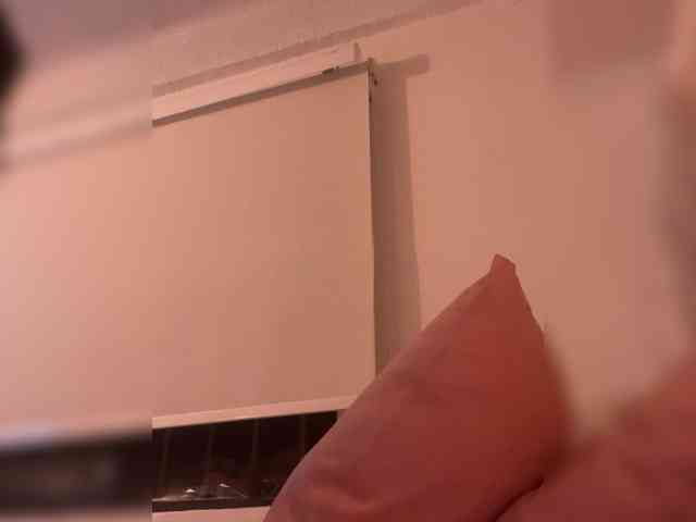 SallyeLeins webcam