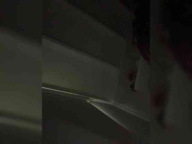 SallyeLeins SallyeLeins