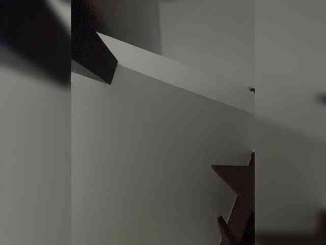 SallyeLeins SallyeLeins