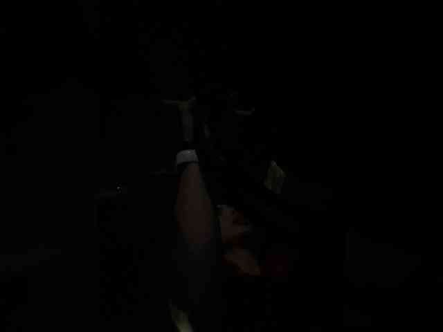 SallyeLeins SallyeLeins