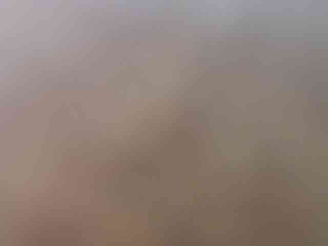 SallyeLeins webcam