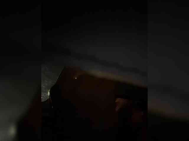 SallyeLeins SallyeLeins