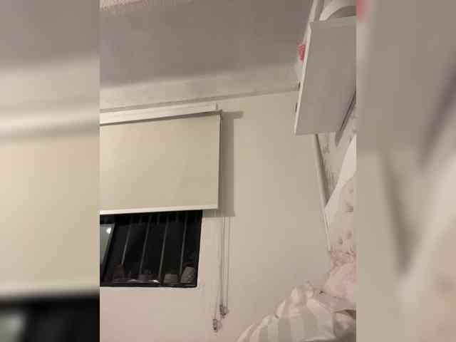 SallyeLeins SallyeLeins