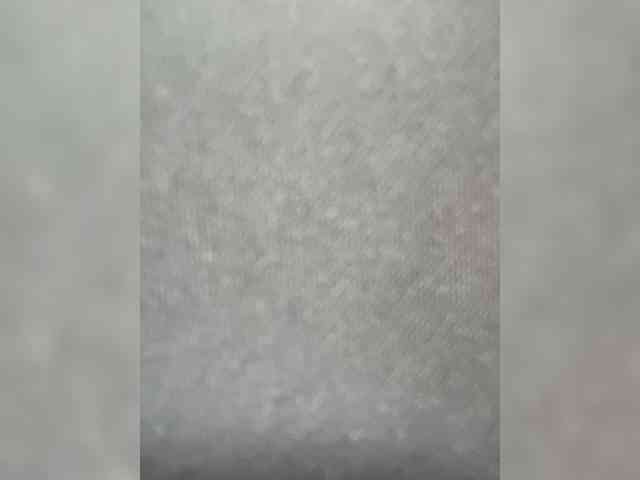 free sex live cam SallyeLeins