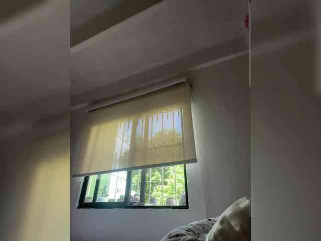 SallyeLeins SallyeLeins