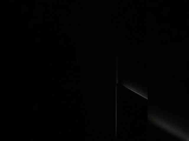 SallyeLeins SallyeLeins