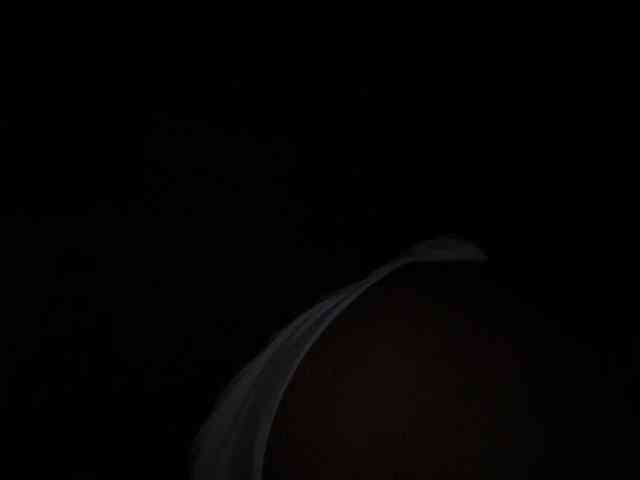 SallyeLeins webcam