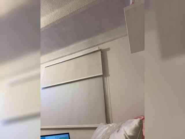 SallyeLeins SallyeLeins