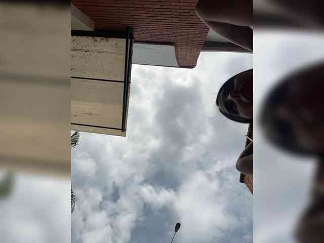 SallyeLeins SallyeLeins