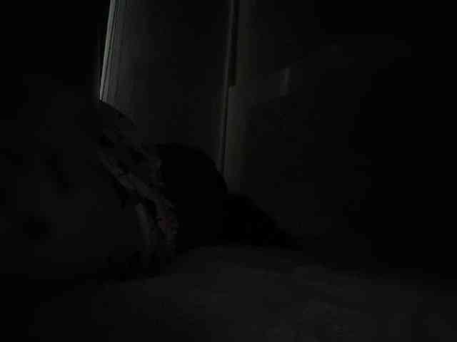 SallyeLeins SallyeLeins