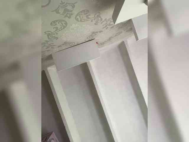 SallyeLeins webcam