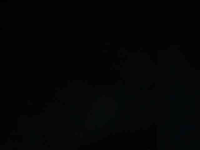 Модель: SallyeLeins