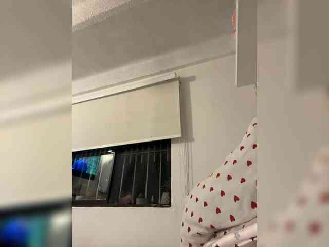 SallyeLeins SallyeLeins