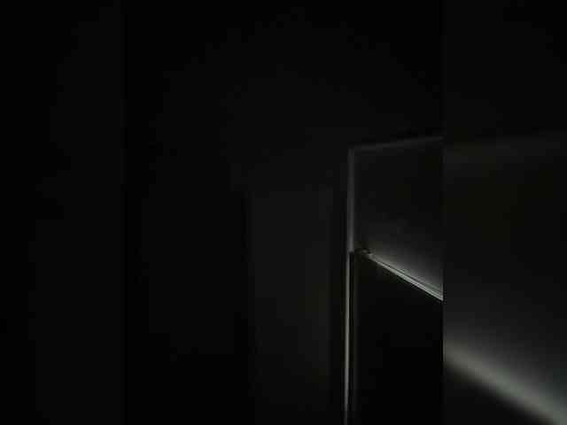 SallyeLeins SallyeLeins