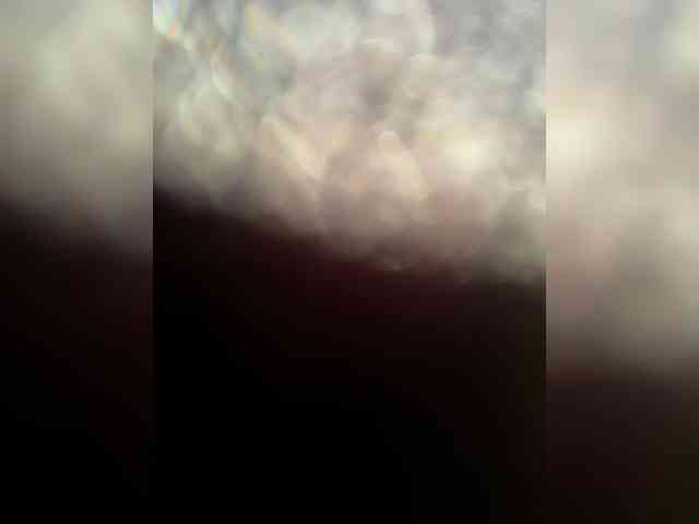 SallyeLeins SallyeLeins