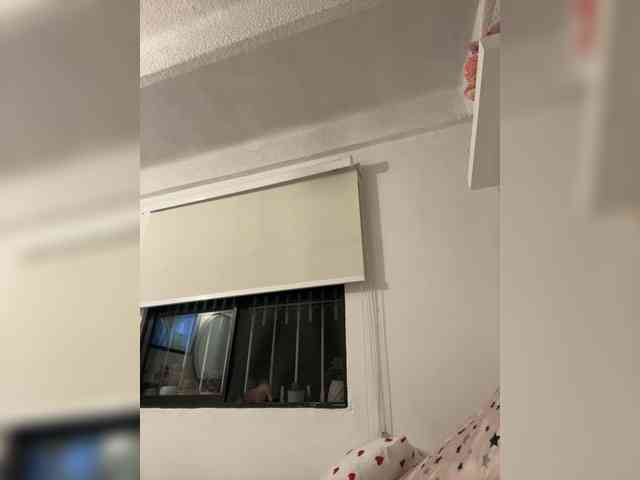 SallyeLeins SallyeLeins