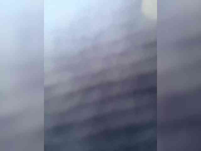 SallyeLeins SallyeLeins