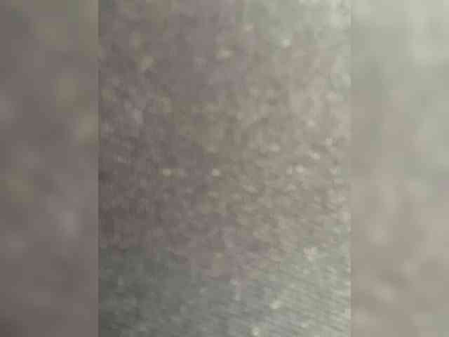 sallyeleins bongacams