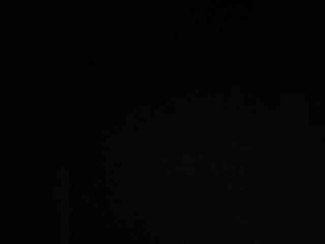 SallyeLeins SallyeLeins