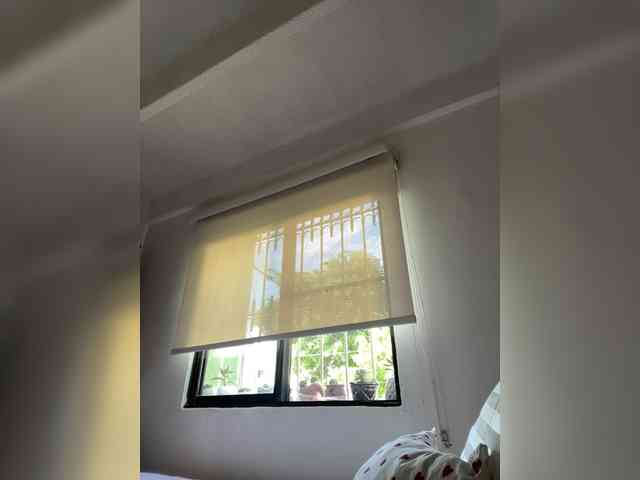 SallyeLeins SallyeLeins