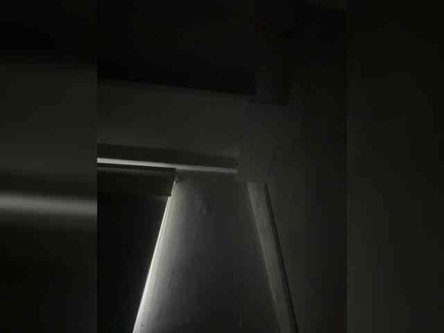 SallyeLeins Live Webcam on BongaCams