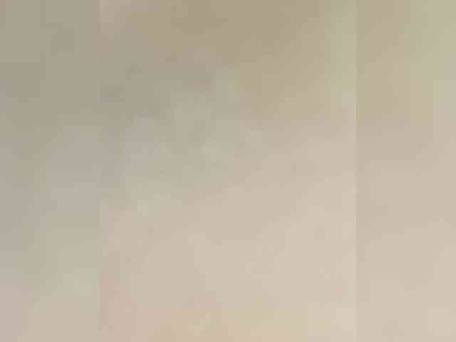 SallyeLeins SallyeLeins