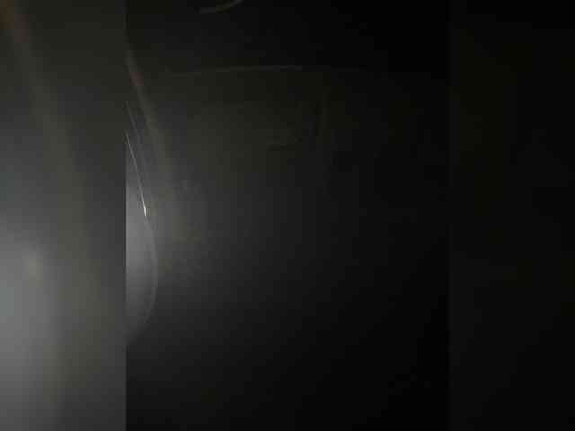 SallyeLeins webcam