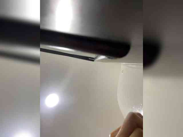 SallyeLeins SallyeLeins