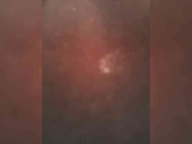 SallyeLeins SallyeLeins