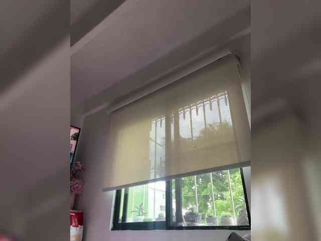 SallyeLeins SallyeLeins